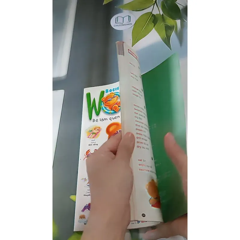 Gấu Bogie Học Từ - NXB Dân Trí - Đông A (Dan Tri - Dong A Publishing) 607708