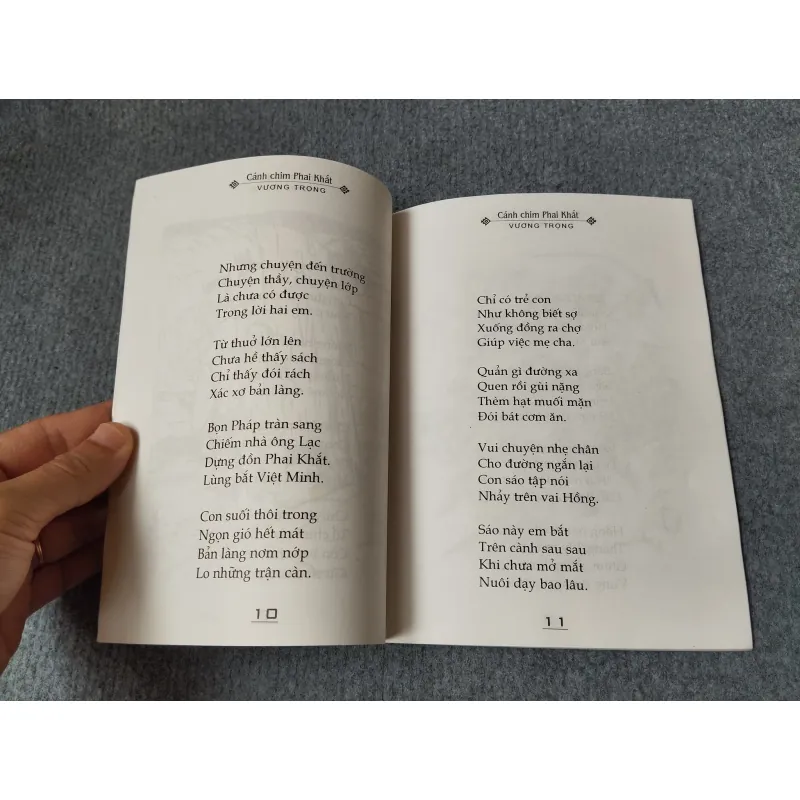 CÁNH CHIM PHAI KHẮT 720689