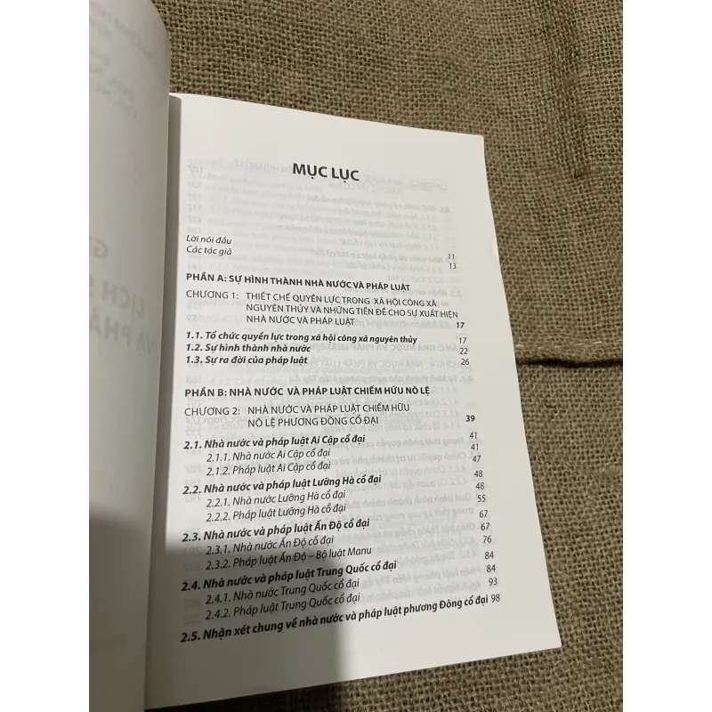 Giáo trình LỊCH SỬ NHÀ NƯỚC VÀ PHÁP LUẬT THẾ GIỚI 797706