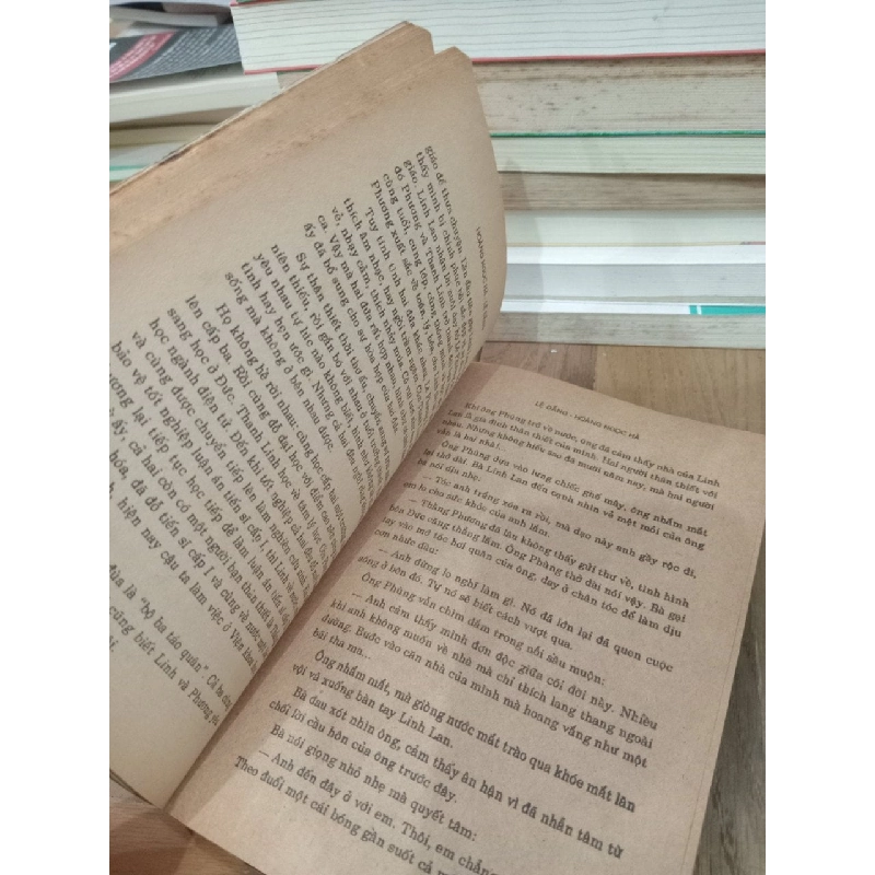 Lệ đắng - Hoàng Ngọc Hà 755732