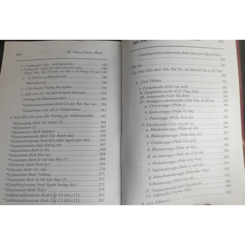 Đức Phật Và 45 Năm Hoằng Pháp Độ Sinh - tập 13 756002
