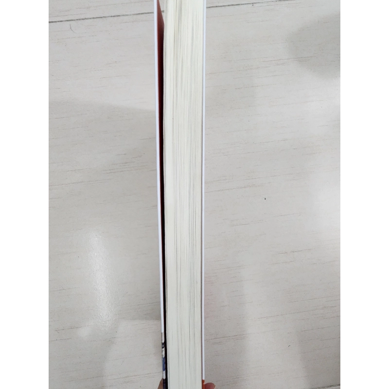 Sách Sài Gòn vang bóng của Lý nhân Phan Thứ Lang mới 99% 527309