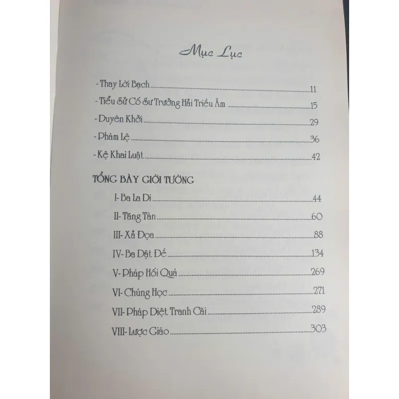 Hai Cánh Nhà Ni - Tỳ Kheo Ni Hải Triều Âm 718746