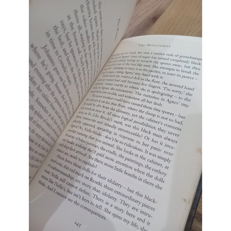 THE MINIATURIST - JESSIE BURTON 122393