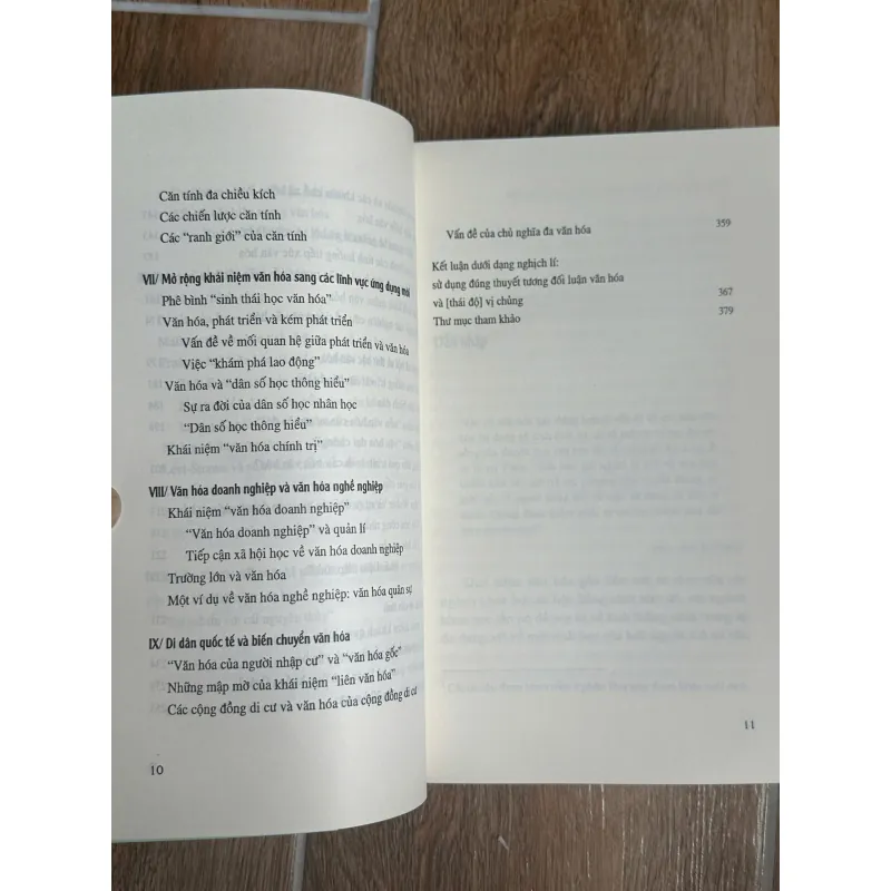 Khái Niệm Văn Hoá Trong Khoa Học Xã Hội (NXB Tri Thức) - Denys Cuche ,  Lê Minh Tiến dịch 731609