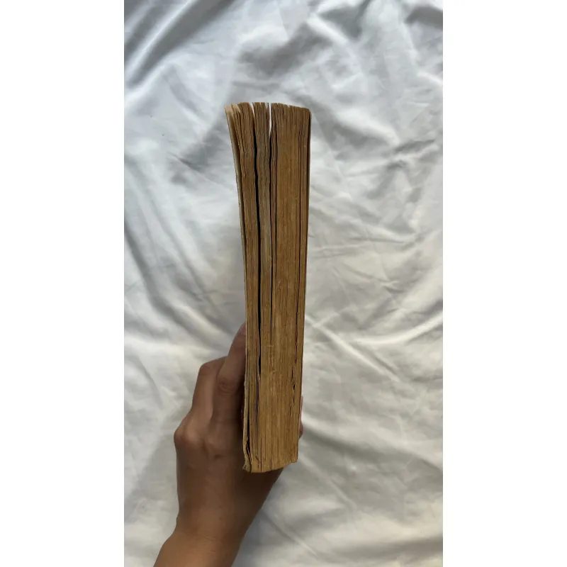 A History of the World in 10½ Chapters - Julian Barnes 790155