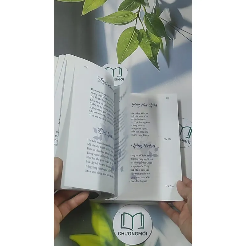 Mưa hồng ánh thiêng - Thánh Têresa hài đồng Giêsu 688631