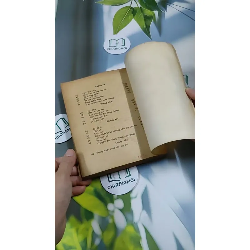 Tâm Hồn Cao Thượng (1989) 713894