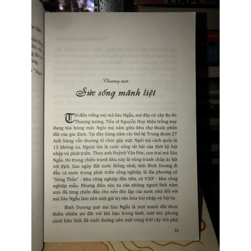 Ngọn Đèn Trong Bão Lửa - Phạm Xuân Trường 761657