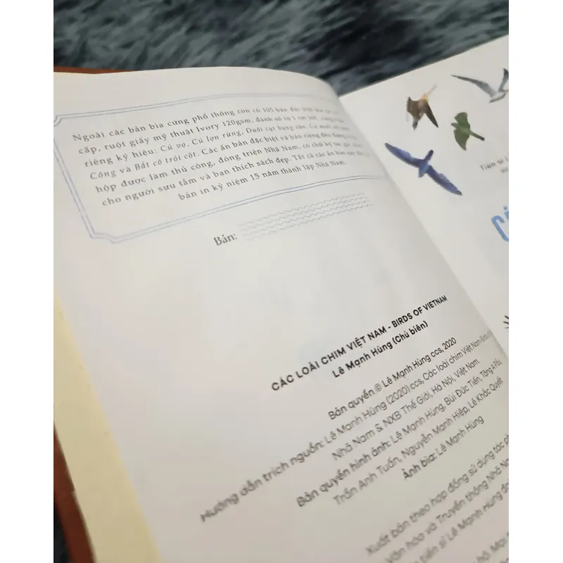 Các loài chim Việt Nam (Lê Mạnh Hùng) 736184