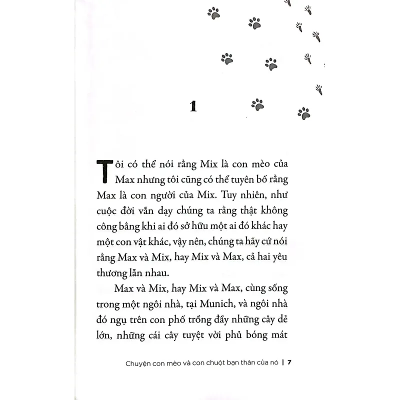 Sách Chuyện Con Mèo Và Con Chuột Bạn Thân Của Nó 674551