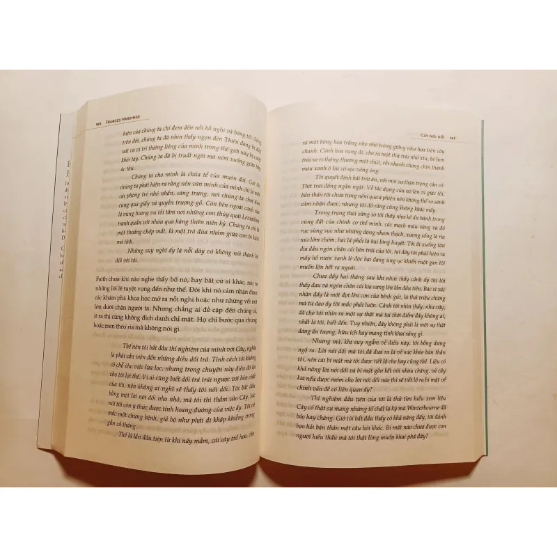 Cáy Nói Dối 782119