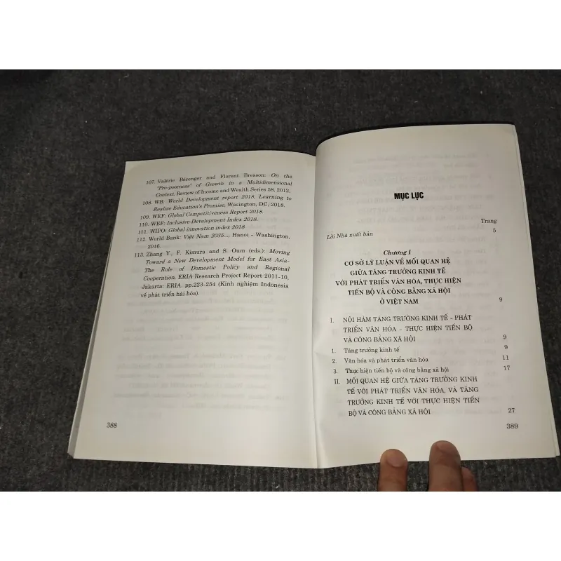 MỐI QUAN HỆ GIỮA TĂNG TRƯỞNG KINH TẾ VỚI PHÁT TRIỂN VĂN HOÁ 993092