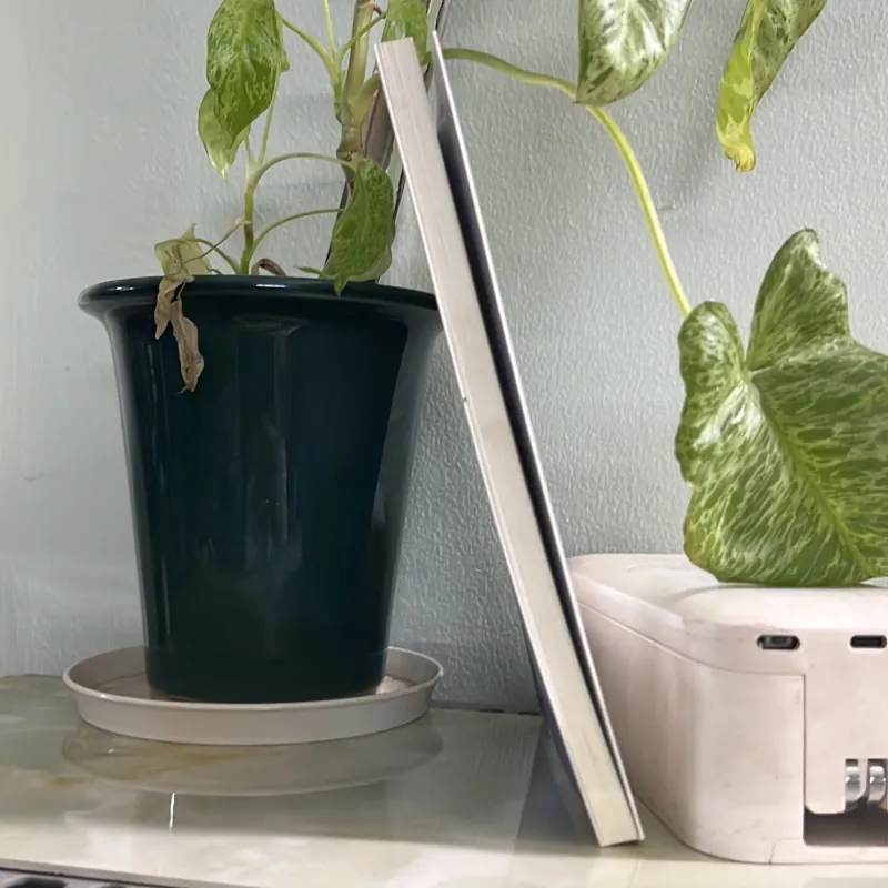 Bay qua hồ gươm - Huỳnh Mai Liên 746461