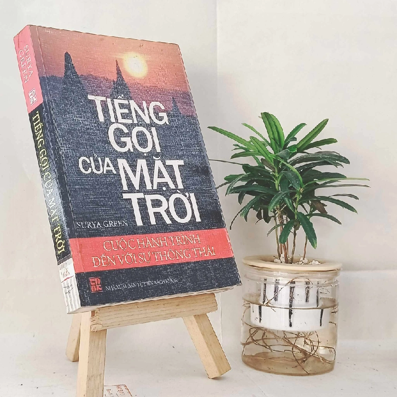 Tiếng Gọi Của Mặt Trời - Surya Green 130336
