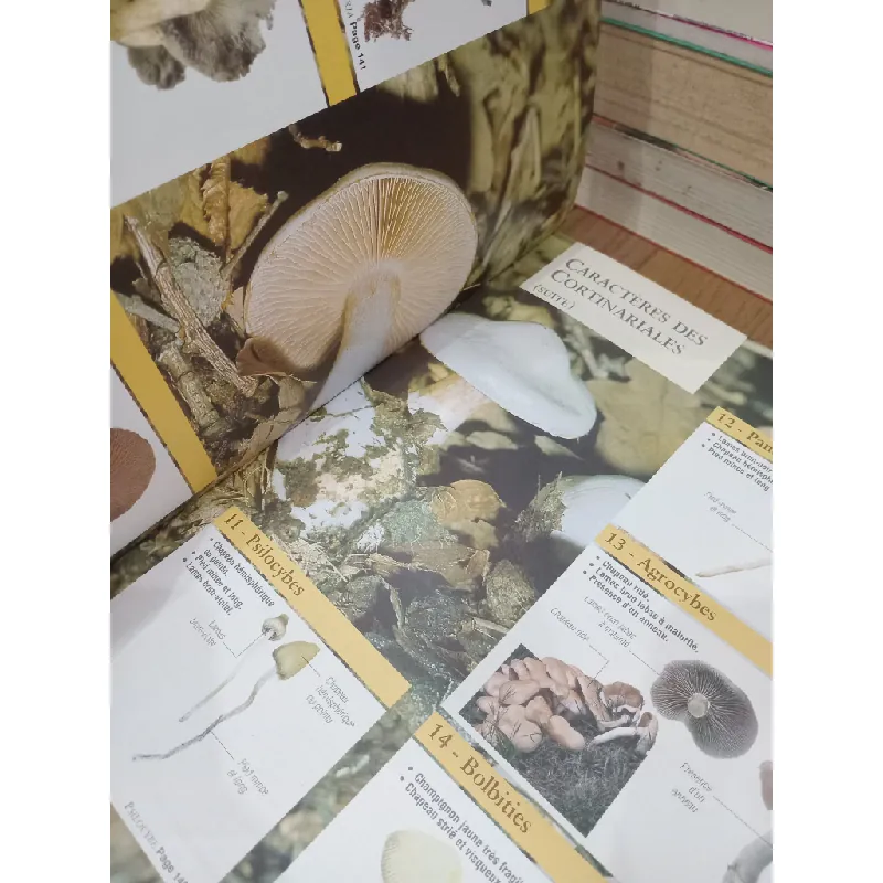 Grand guide encyclopédique des Champignons 712093