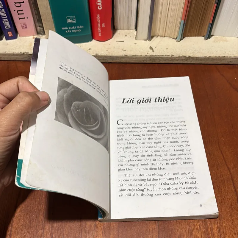 II Hạt Giống Tâm Hồn: Điều Diệu Kỳ Từ Cách Nhìn Cuộc Sống - Nhiều Tác Giả - 2008 760705