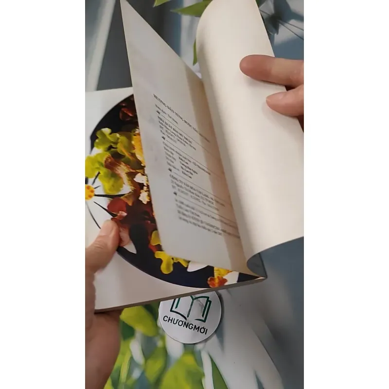 Hướng Dẫn Từng Bước Nấu Ăn Chay - Thế Hùng 727273