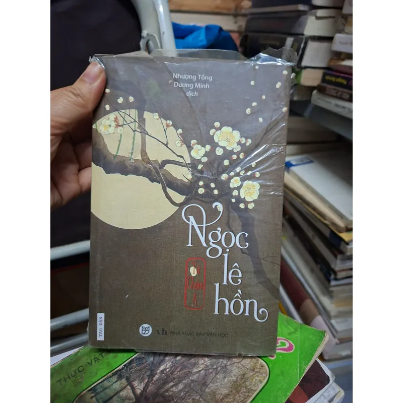 Ngọc lê hồn 729260