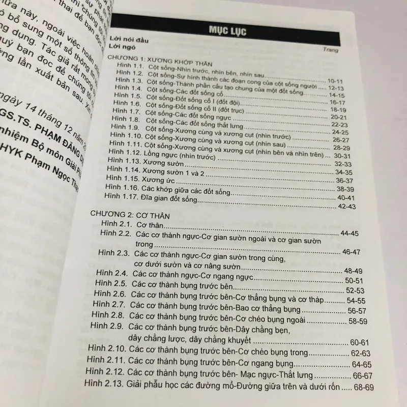 GIẢI PHẪU NGỰC - BỤNG  562735