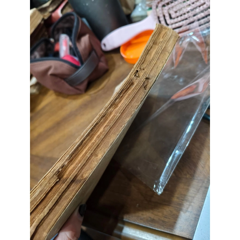Trên Đường Cơ Khổ - Nguyễn Cao Hách 740235