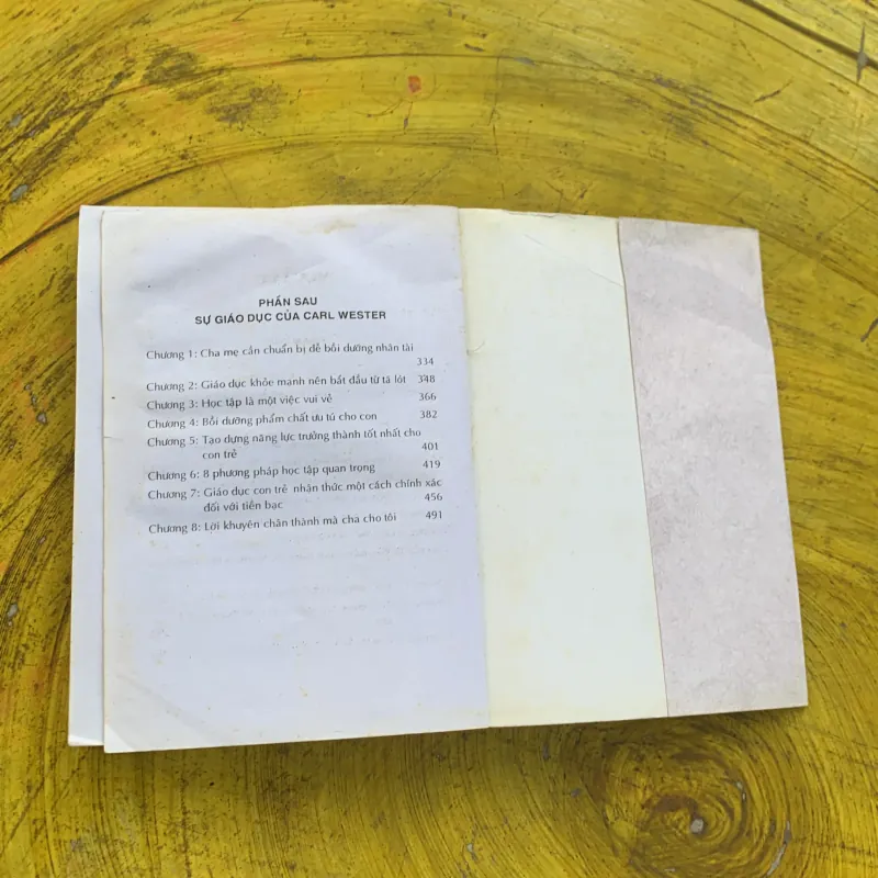 CÁCH GIÁO DỤC CỦA CARL WESTER - CARL WESTER 790335