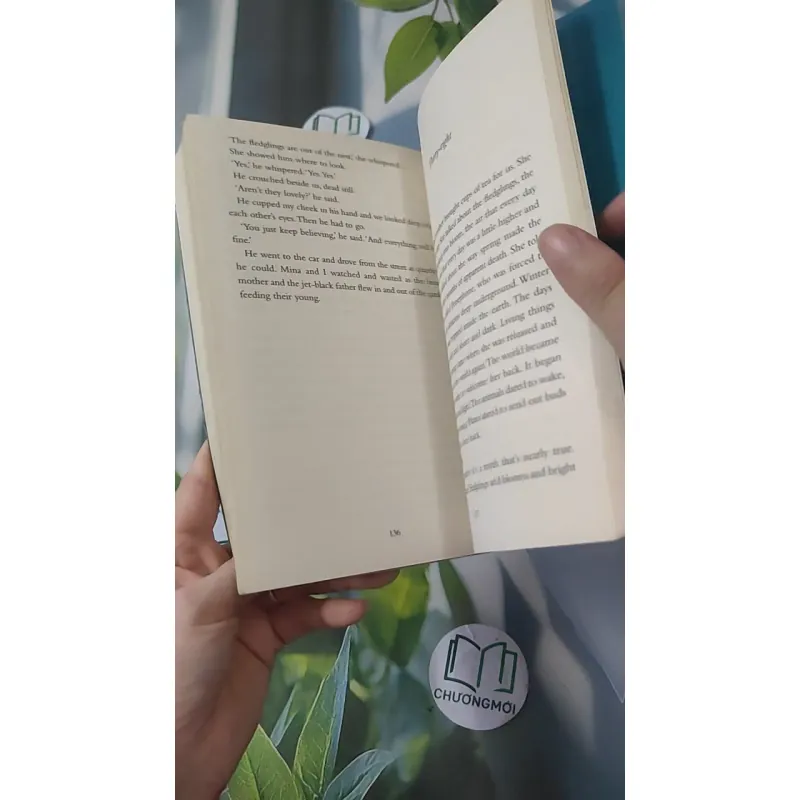 Skellig - David Almond 1033624