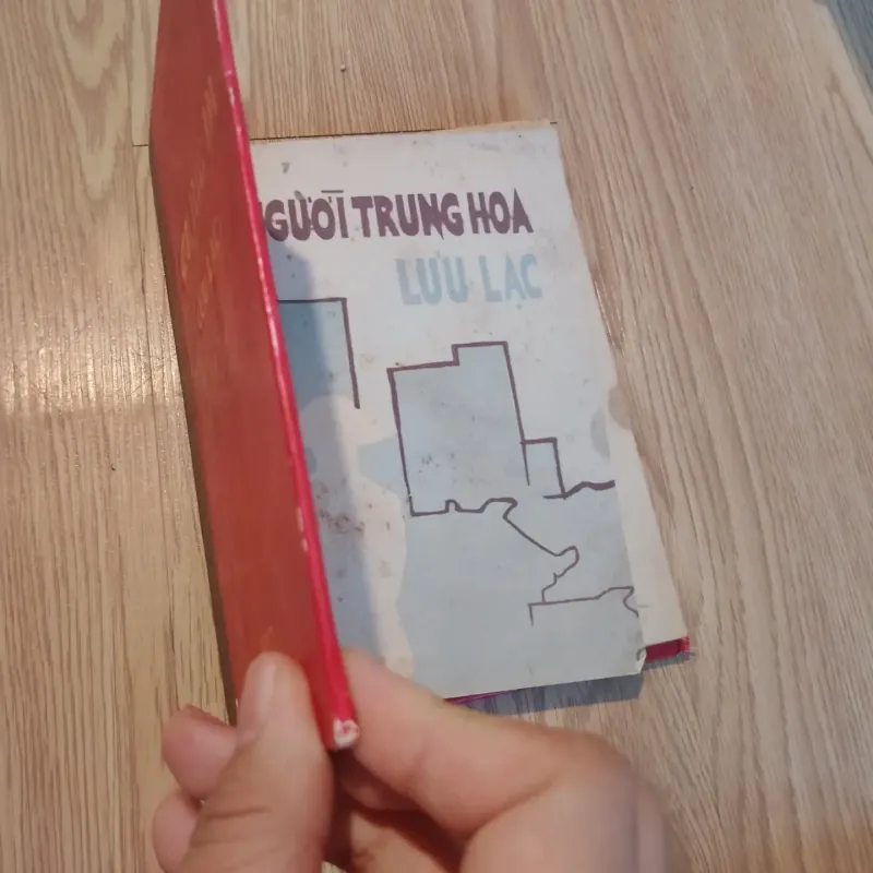 Người Trung Hoa lưu lạc - Đào Hùng 689849