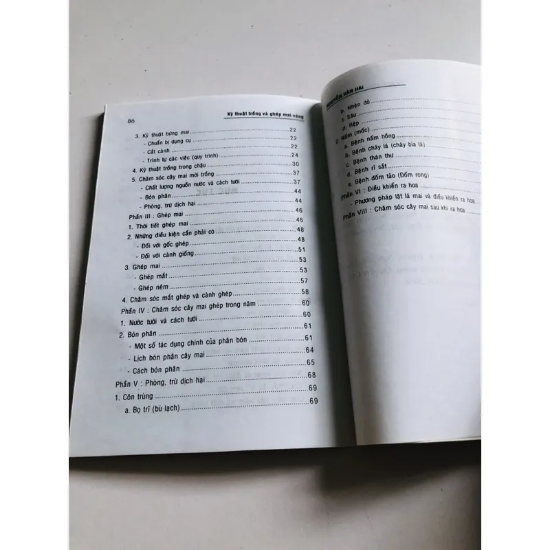 KỸ THUẬT TRỒNG VÀ GHÉP MAI VÀNG 696130