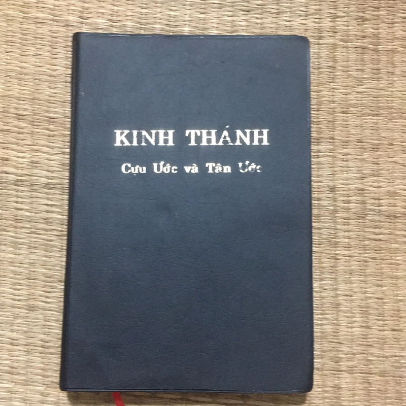 KINH THÁNH BẢN DỊCH MỚI  507466
