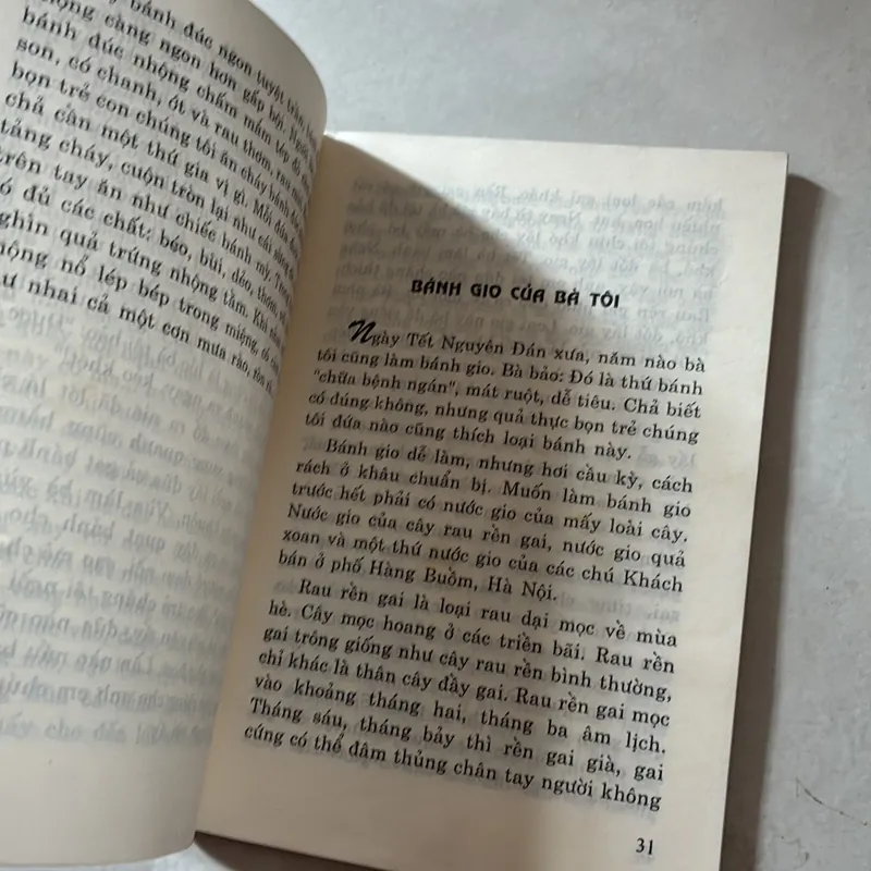 Bánh trái mùa quê - Thanh Hào 738549