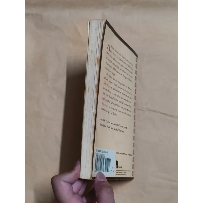 Chinese Cinderella - Adeline Yen Mah 1006226