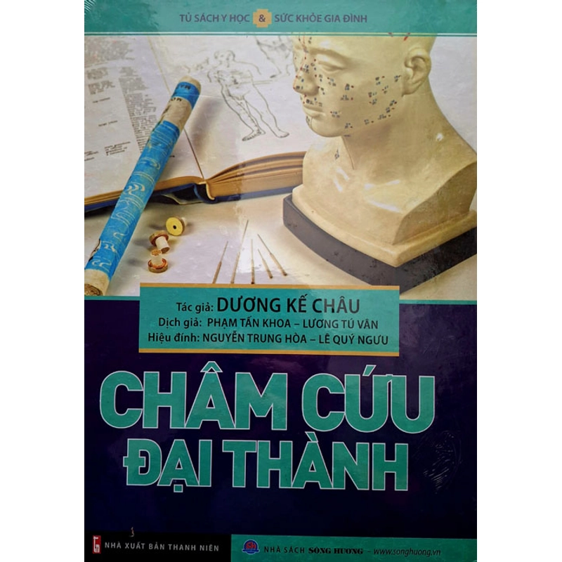 CHÂM CỨU ĐẠI THÀNH 460419