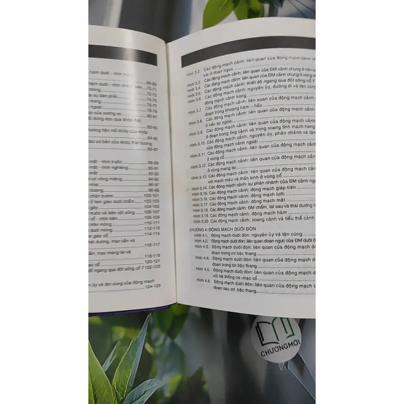 [MIỄN PHÍ BỌC SÁCH] Giải Phẫu (Đầu - Mặt - Cổ) - TS. Phạm Đăng Diệu 990450