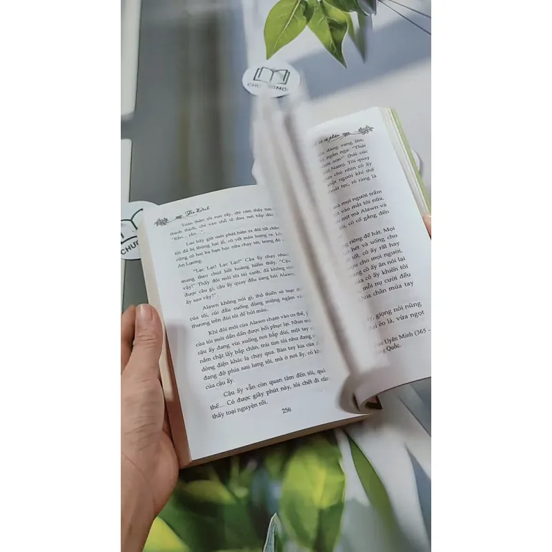 Có Duyên Nhất Định Sẽ Có Phận - Tào Đình 744694