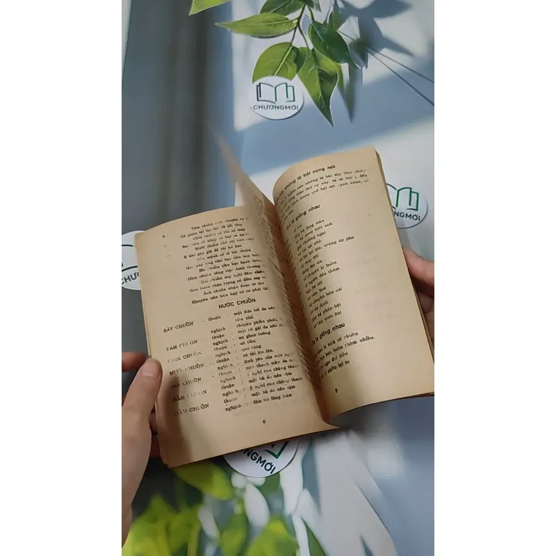 [XƯA] Bói Bài - Xem Sự Thành Bại Trên Đường Đời (1970) - Huỳnh Liên Tử 775994