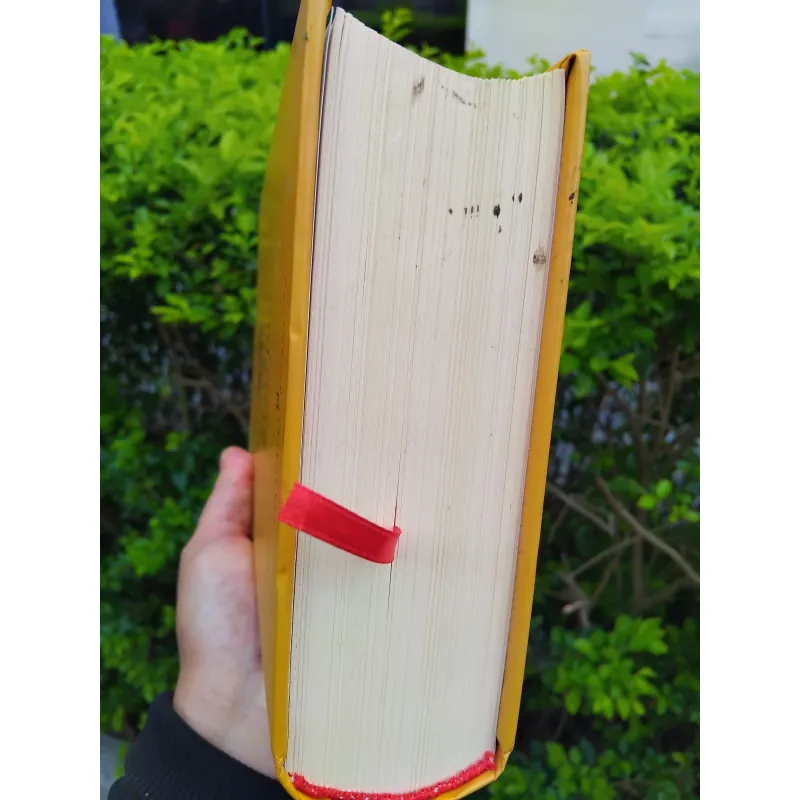 Sáng tạo và giao lưu của GS Phạm Vĩnh Cư 972237