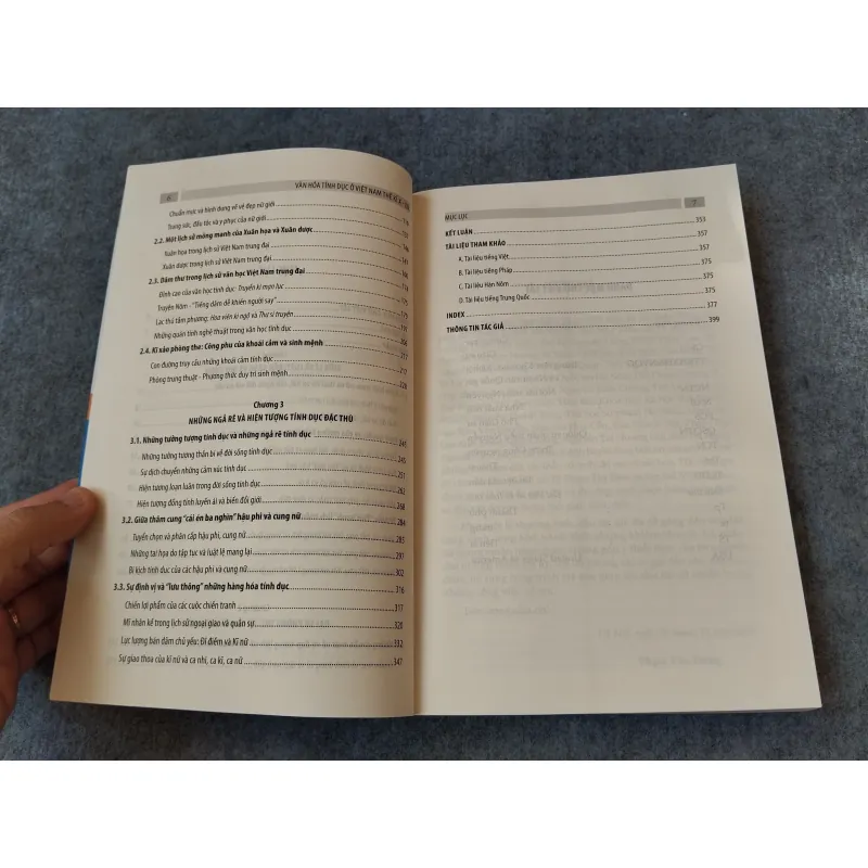 VĂN HOÁ TÍNH DỤC Ở VIỆT NAM THẾ KỶ X - XIX 720737