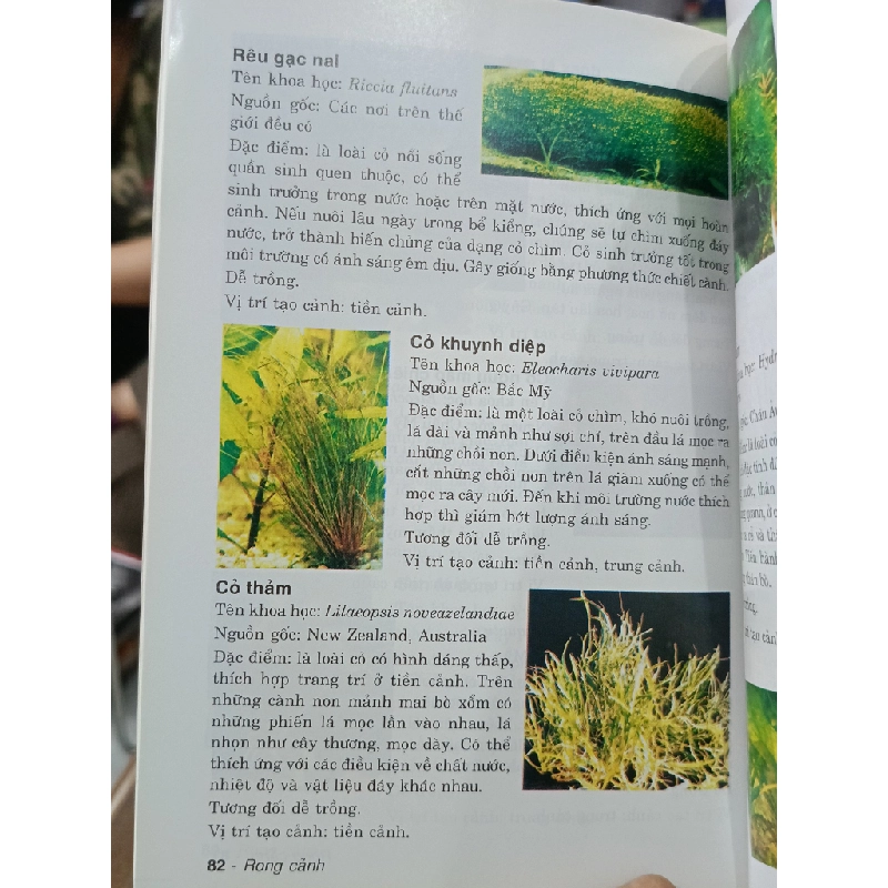 Rong cảnh: Thưởng thức và nuôi dưỡng - Saigonbook (Biên dịch) 497717