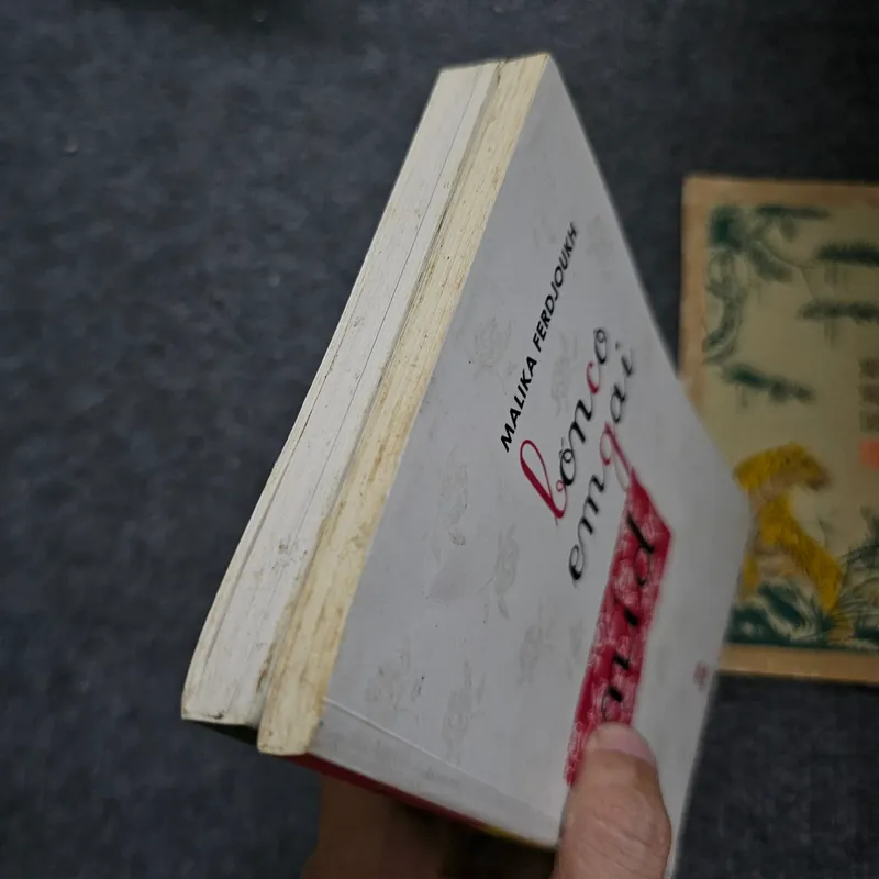 Bốn cô em gái - Ferdjoukh 733962