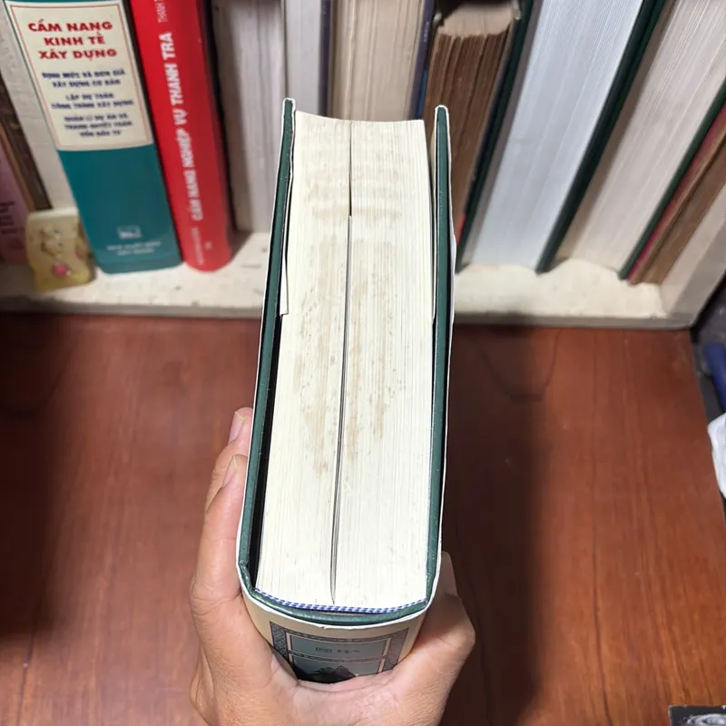 II Bản In Đặc Biệt Kỷ Niệm 100 Năm: Việt Nam Sử Lược - Trần Trọng Kim - Đông A - 2021 711983