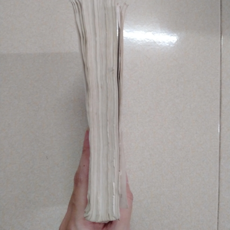 Không gia đình - NXB văn học  501840