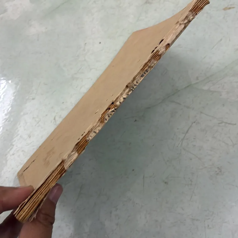 Chuyến công cán đặc biệt - Lê Văn Hiến - 1986s 998207