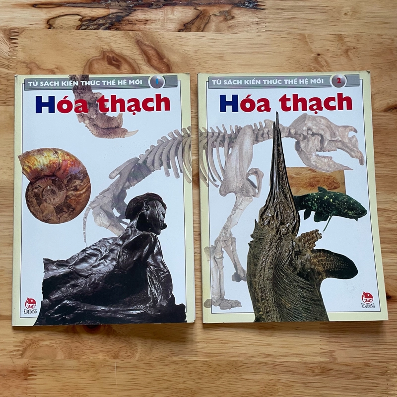II Tủ Sách Kiến Thức Thế Hệ Mới - Nhiều Chủ Đề - 2002 493321
