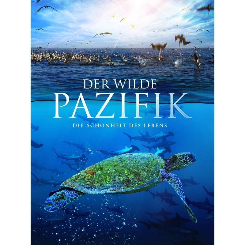 Đĩa BluRay phim tài liệu The Wild Pacific 2016 UltraHD 4K 2160p 533964