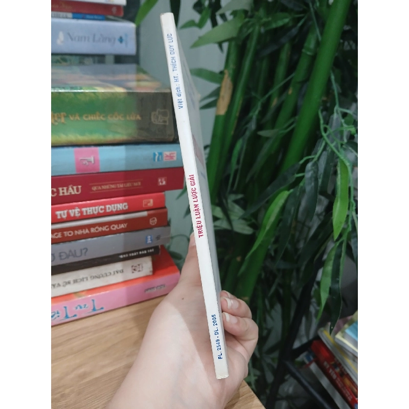 Triệu Luận Lược Giải - dịch HT.Thích Duy Lực 749319