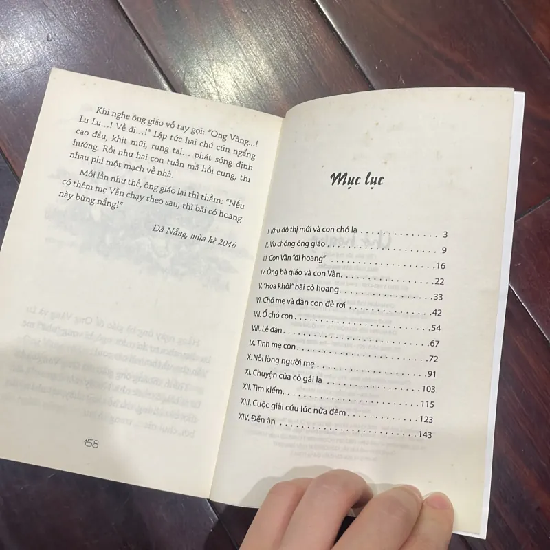 Văn học tuổi hoa - CHÓ HOANG - BÙI TỰ LỰC nxb KD 2017  1026002