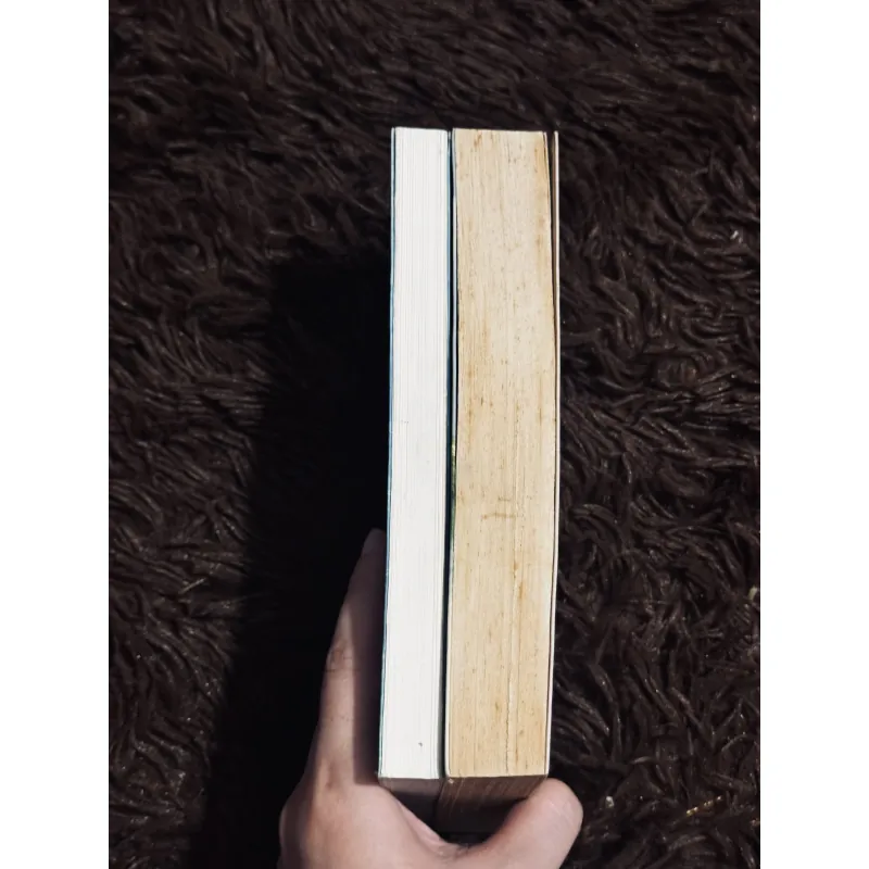 Combo Đến ngọn hải đăng + Bà Dalloway 1029335