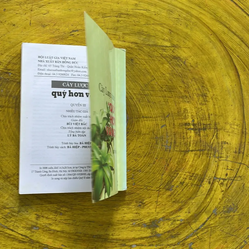 CÂY LƯỢC VÀNG “ QUÝ NHƯ VÀNG”- nhiều tác giả 937497