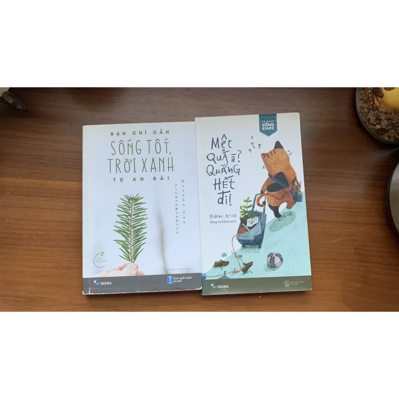 Mệt quá à quẳng hết đi + Bạn chỉ cần sống tốt, trời xanh tự an bài 714307